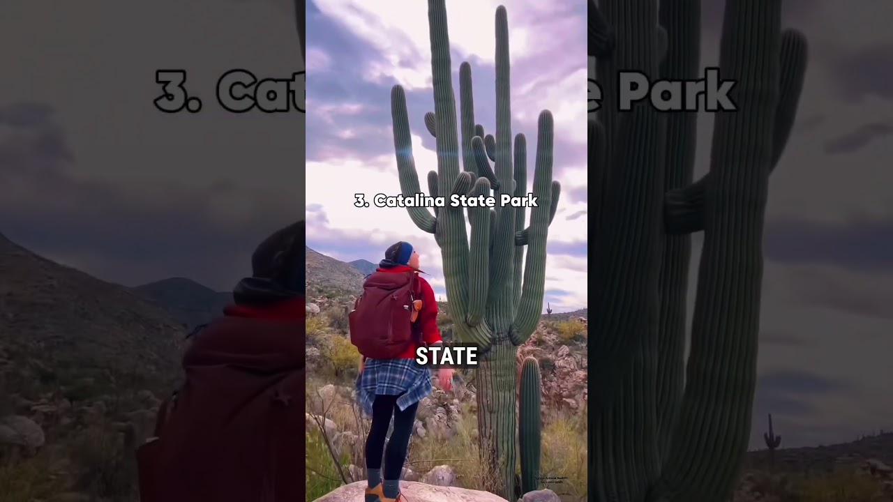 Bucket-List Guide to Exploring Tucson, Arizona 😍// #tucson #explorearizona #travelguide
