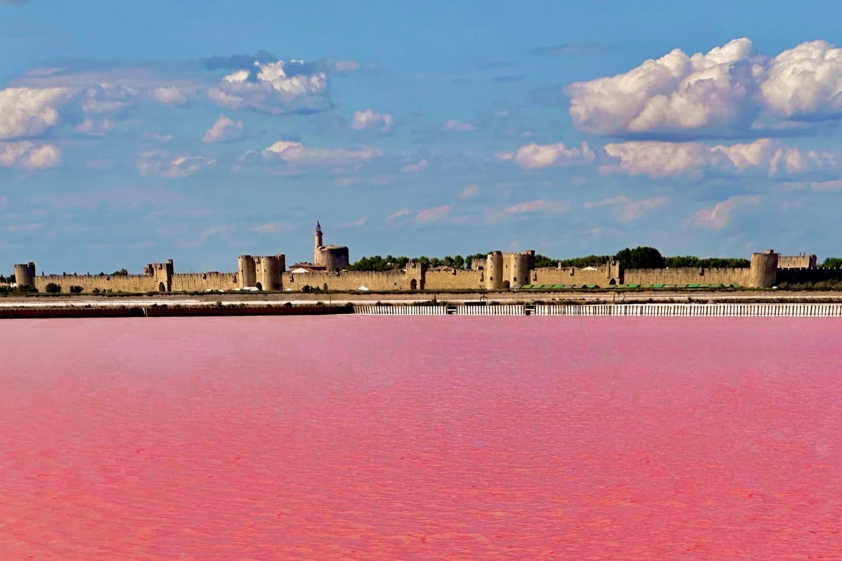 Medieval City By A Pink Lake In Aigues-Mortes, Camargues, France